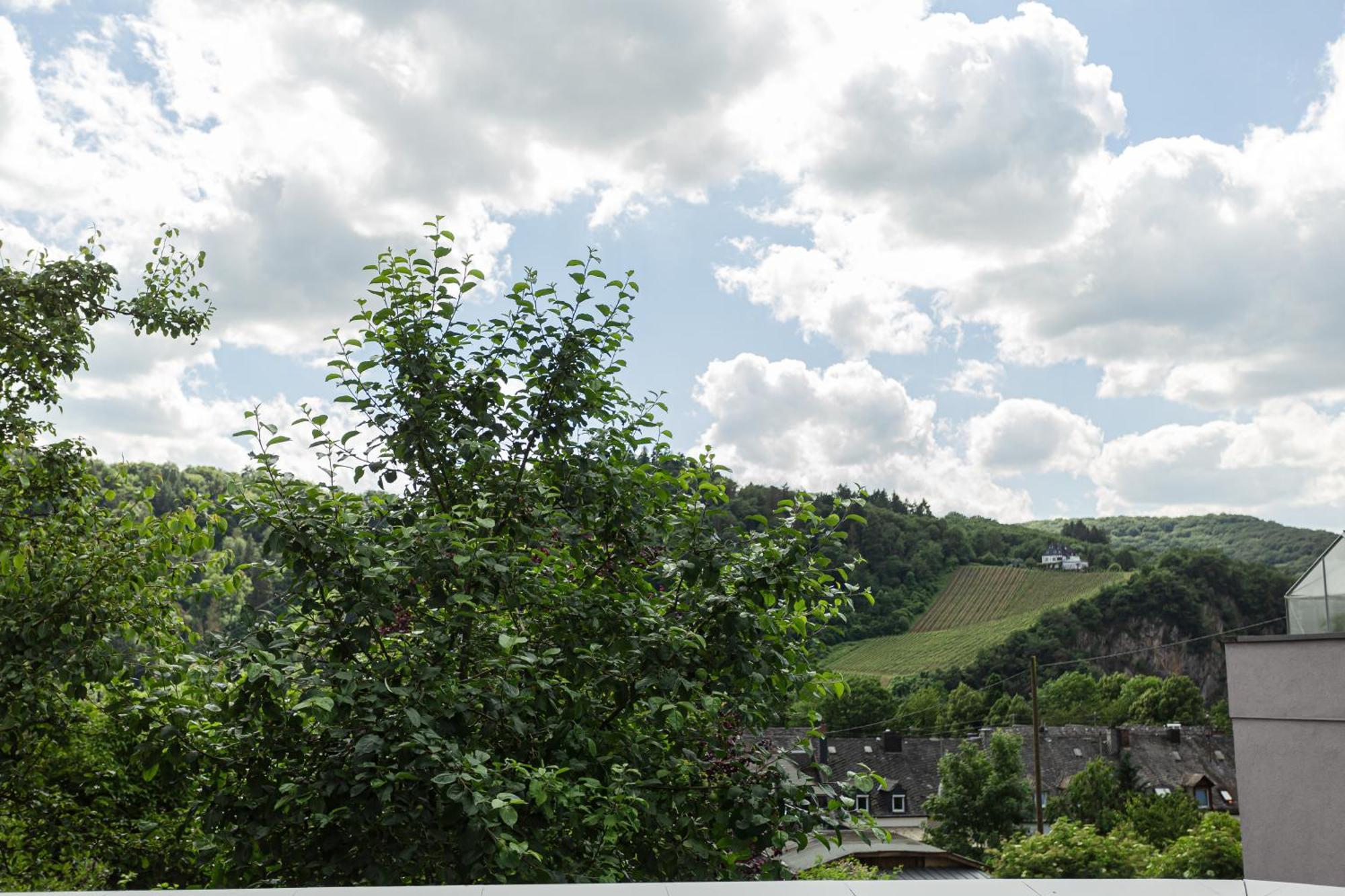 Luxusferienwohnung Moselruhe Bullay Mit Grosser Terrasse Und Schoenem Ausblick Exterior photo